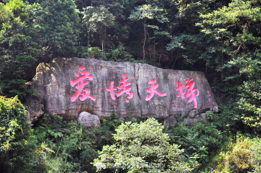 愛情天梯1.jpg