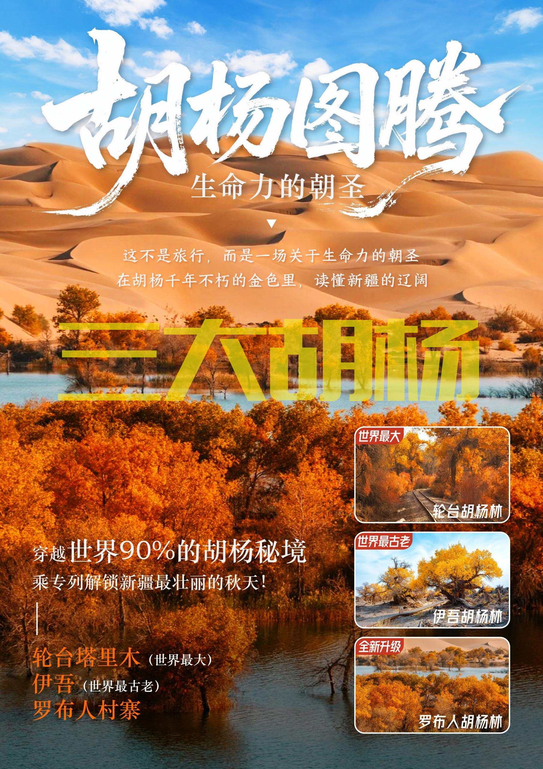 南疆行插圖三大胡楊.jpg