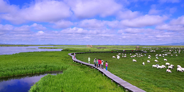 d0yTZr_640x320_00.jpg