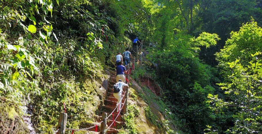 愛情天梯5.jpg