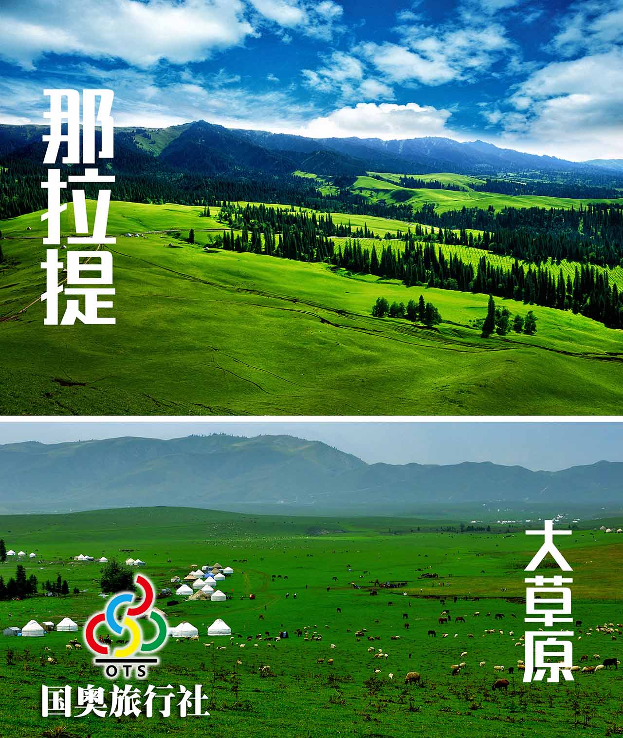 第七天那拉提.jpg