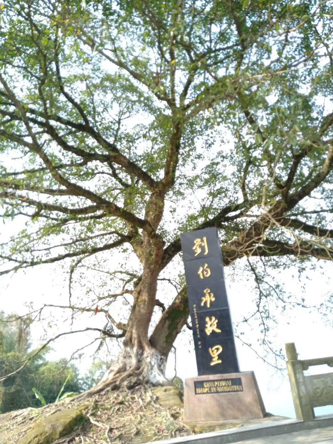 微信圖片_20190110222246.jpg