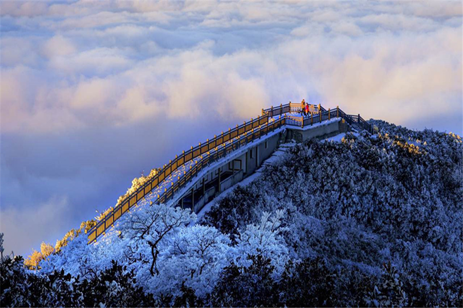 金佛山北坡.jpg