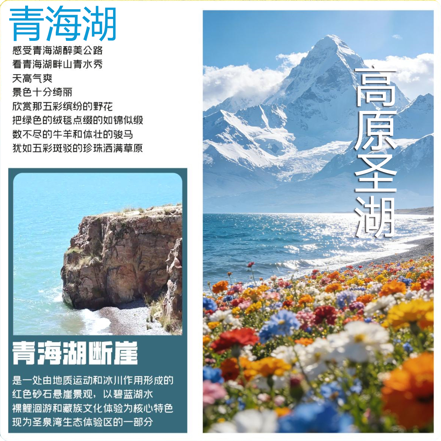 青海湖.jpg