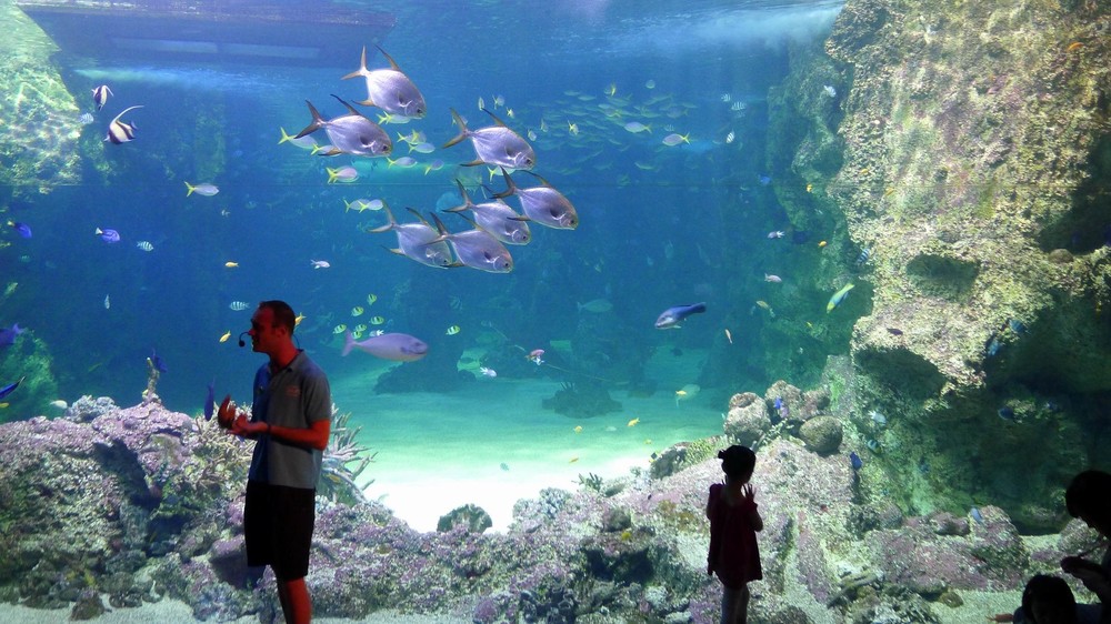 悉尼水族館.jpg