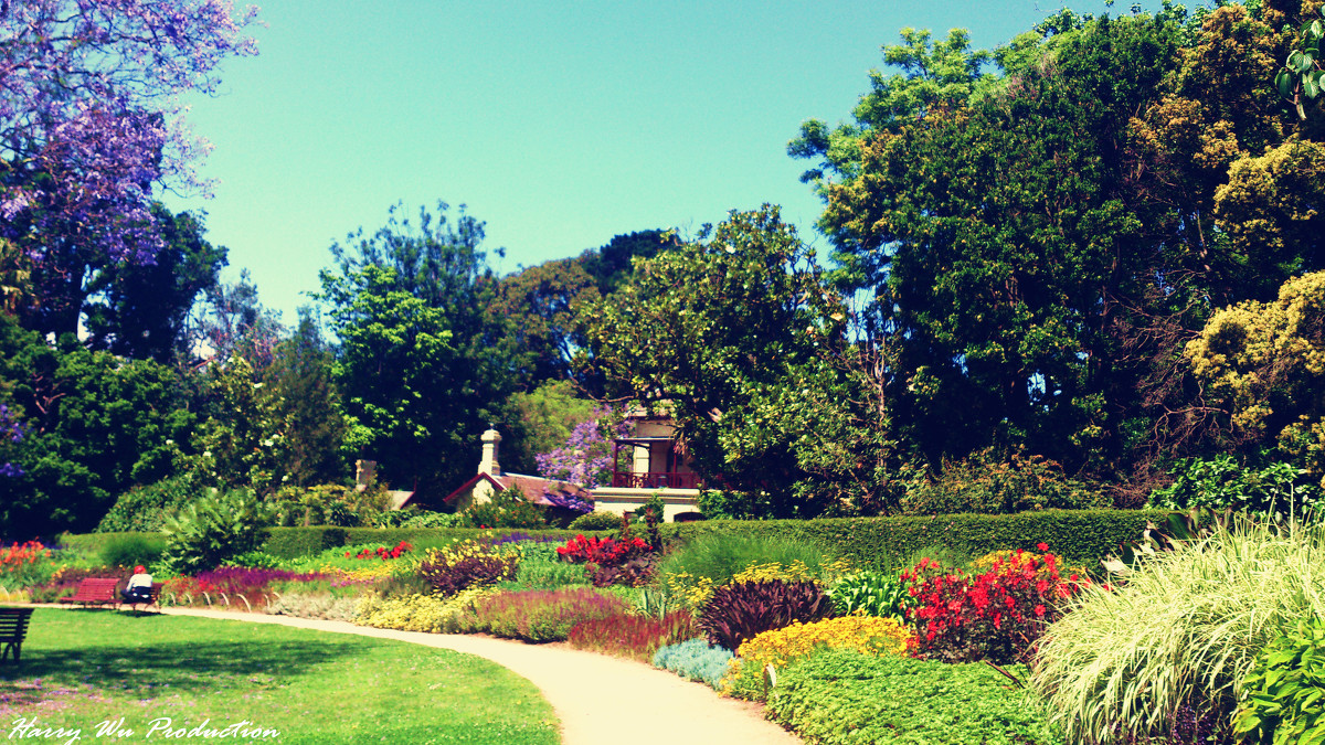 墨爾本皇家植物園jpg.jpg